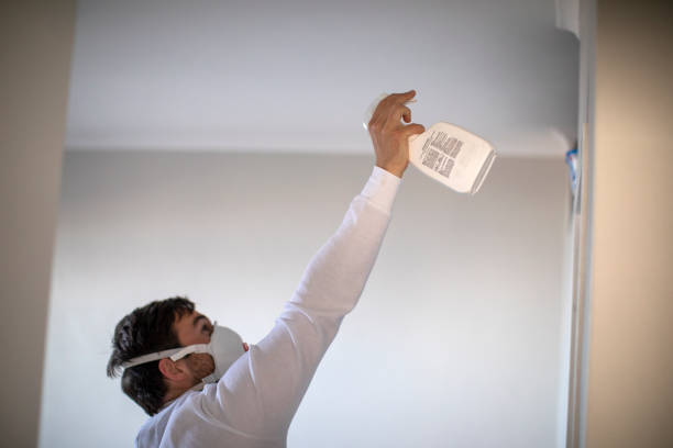 Best Best Mold Removal Companies  in Allen Park, MI